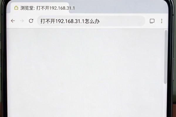 手机浏览器打不开192.168.31.1怎么办