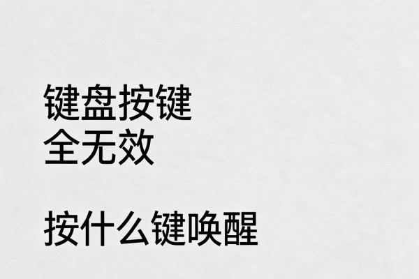 键盘按键全无效按什么键唤醒