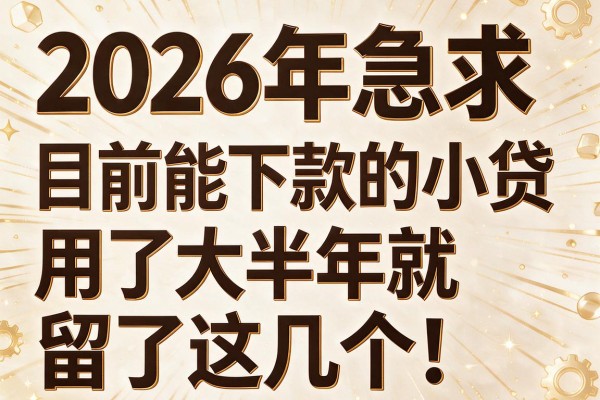 2026年急求目前能下款的小贷,用了大半年就留了这几个!