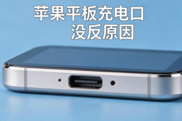 苹果平板充电口没反应原因