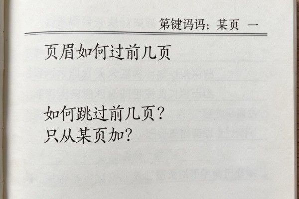 页眉如何跳过前几页只从某页加?