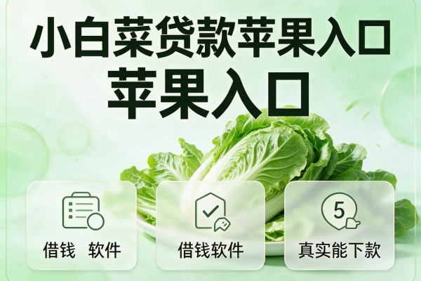 小白菜贷款苹果入口,收录5个借钱软件真实能下款