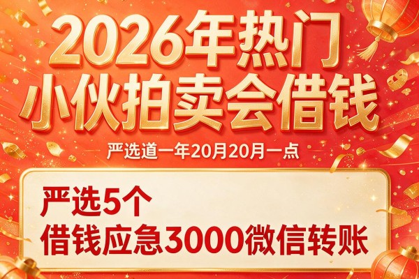 2026年热门小伙拍卖会借钱,严选5个借钱应急3000微信转账