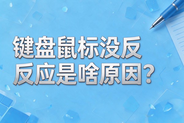 键盘鼠标没反应是啥原因?