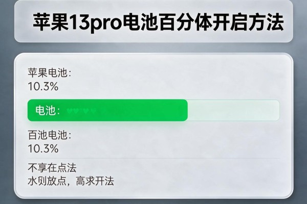 苹果13pro电池百分比开启方法