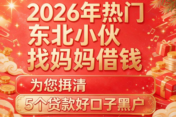 2026年热门东北小伙找妈妈借钱,为您捋清5个贷款好口子黑户