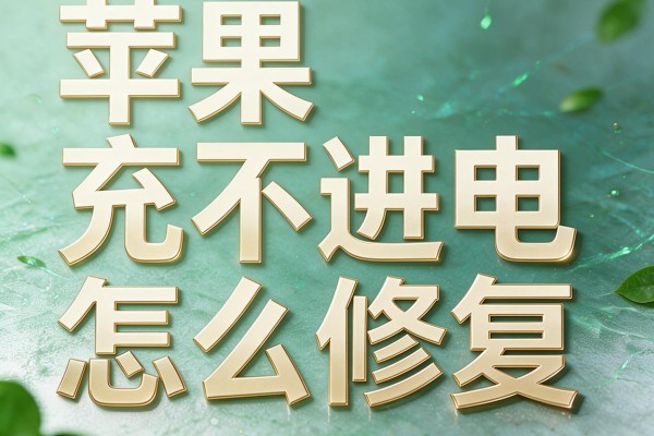 苹果充不进电怎么修复