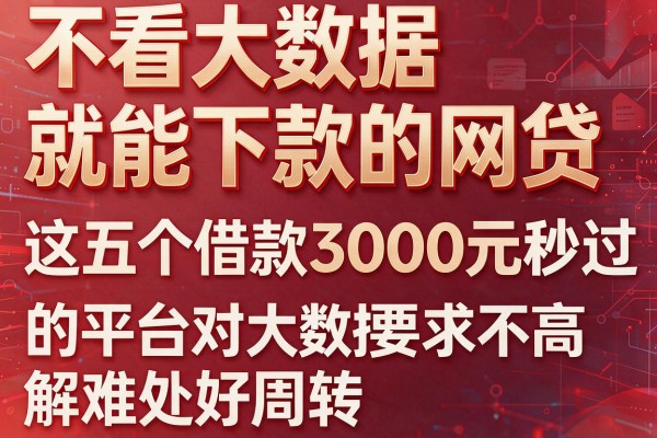 不看大数据就能下款的网贷，这五个借款3000元秒过的平台对大数据要求不高解难处好周转