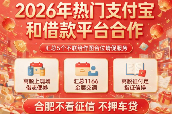 2026年热门支付宝和借款平台合作，汇总5个合肥不看征信不押车贷