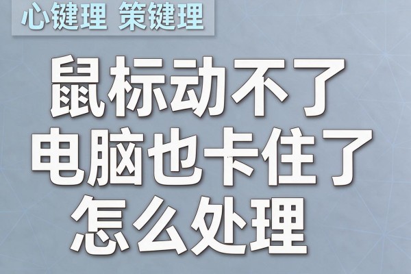 鼠标动不了电脑也卡住了怎么处理