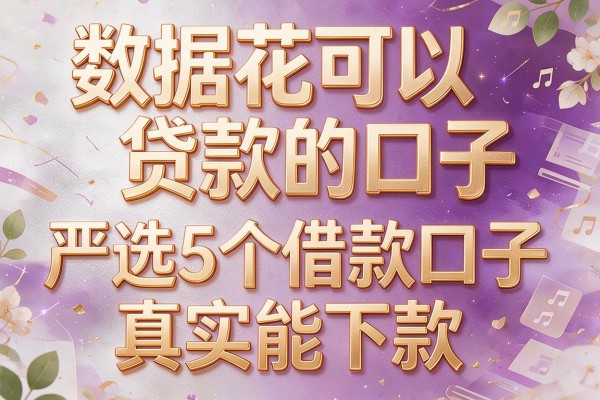 数据花可以贷款的口子，严选5个借款口子真实能下款