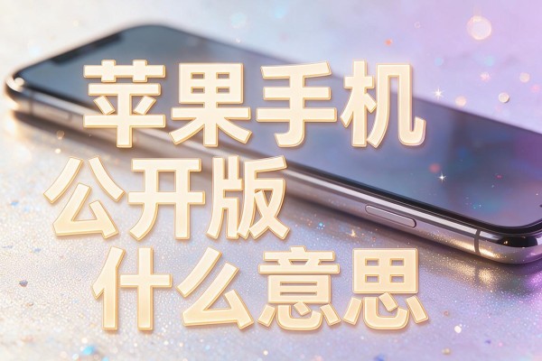 苹果手机公开版什么意思