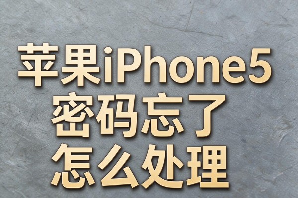 苹果iPhone5密码忘了怎么处理