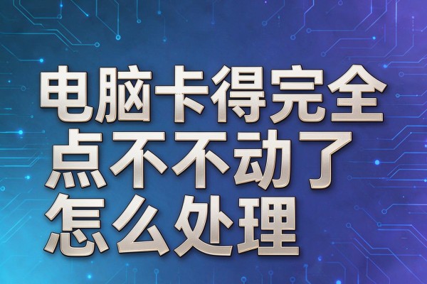 电脑卡得完全点不动了怎么处理