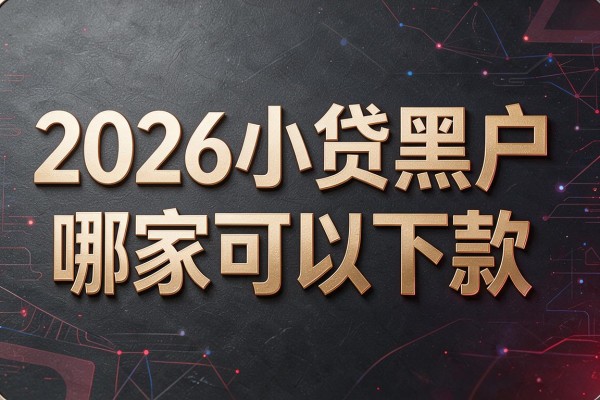 2026小贷黑户哪家可以下款