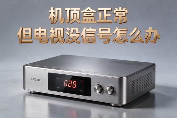 机顶盒正常但电视没信号怎么办