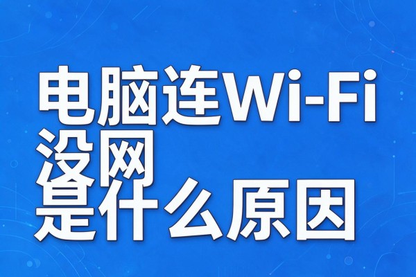 电脑连WiFi没网是什么原因