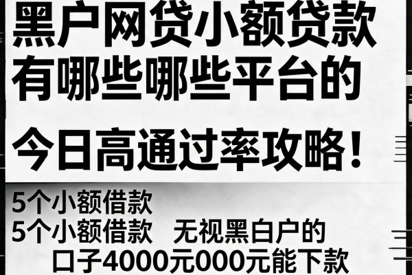 黑白户网贷小额贷款有哪些平台的今日高通过率攻略!本文阐释5个小额借款无视黑白户的口子4000元能下款