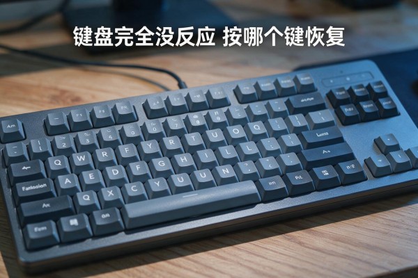 键盘完全没反应按哪个键恢复