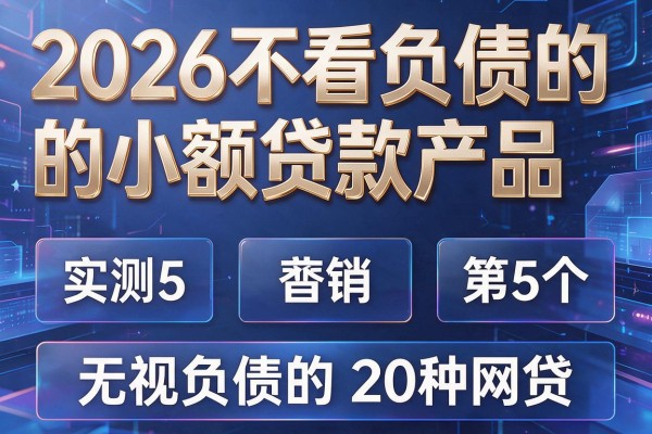 2026不看负债的小额贷款产品,实测5个无视负债的20种网贷