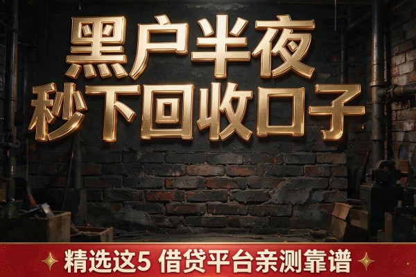 黑户半夜秒下回收口子,精选这5款借贷平台亲测靠谱