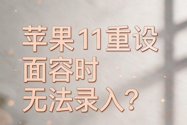苹果11重设面容时无法录入?