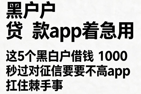 黑白户黑户贷款app着急用，这5个黑白户借钱1000秒过对征信要求不高app扛住棘手事