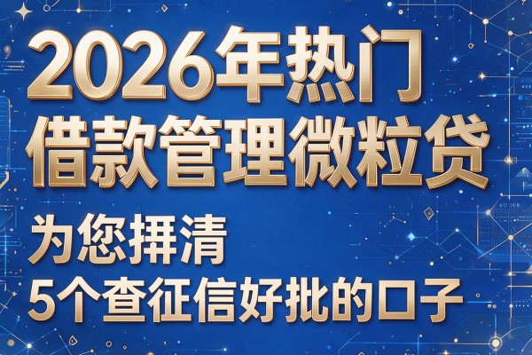 2026年热门借款管理微粒贷,为您捋清5个查征信好批的口子