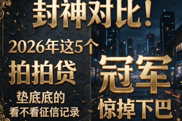 封神对比!2026年这5个"拍拍贷看不看征信记录"冠军和垫底的差距惊掉下巴