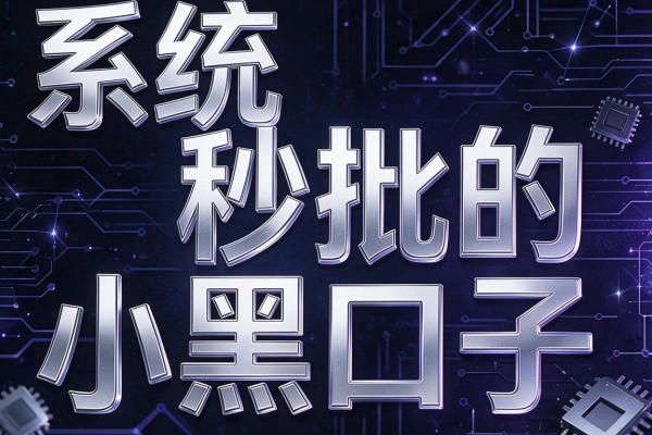 系统秒批的小黑口子