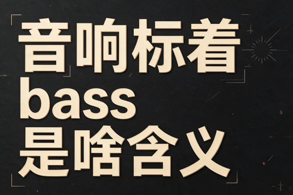 音响标着bass是啥含义