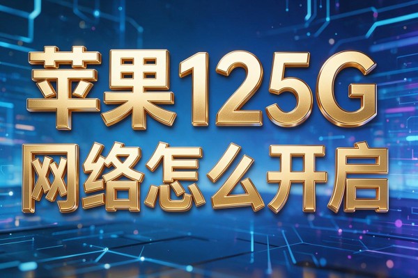 苹果125G网络怎么开启