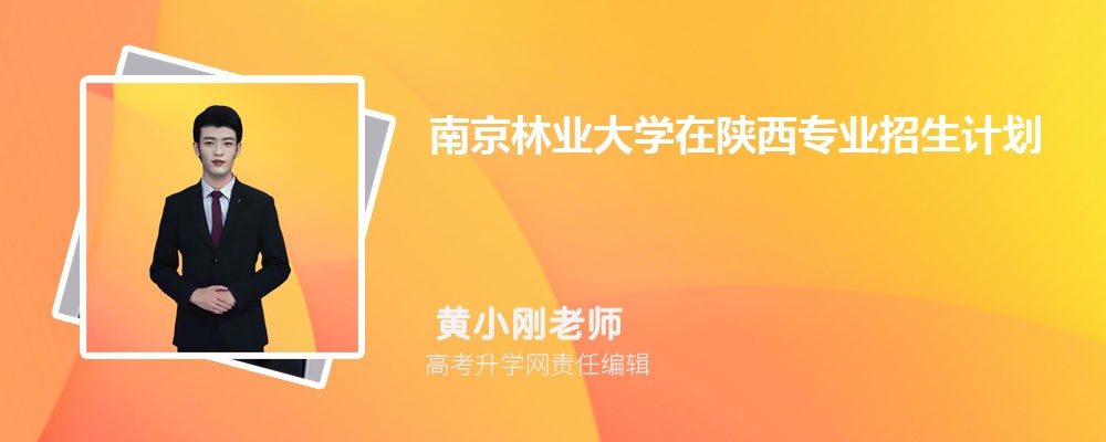 陕西招生网官网入口网址:http://www.sneac.com/index.htm 陕西招生网官网入口网址:http://www.sneac.com/index.htm