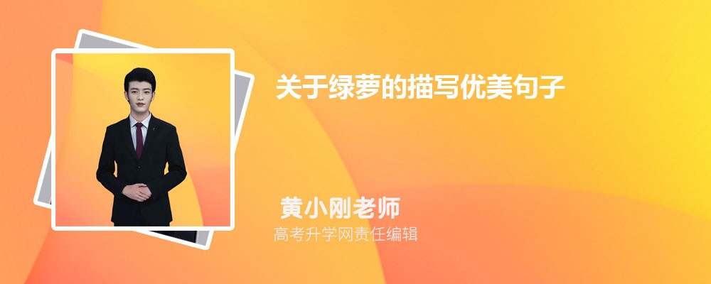 关于绿萝的描写优美句子25句 关于绿萝的描写优美句子25句