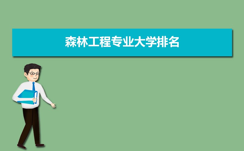 森林工程专业毕业后干什么工作(未来就业前景分析) 森林工程专业毕业后干什么工作(未来就业前景分析)