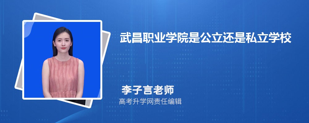 武昌职业学院是公立还是私立学学校,怎么样属于什么档次 武昌职业学院是公立还是私立学学校,怎么样属于什么档次