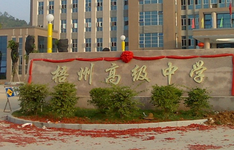 2025年梧州重点高中有哪些学校(排名前十名) 2025年梧州重点高中有哪些学校(排名前十名)