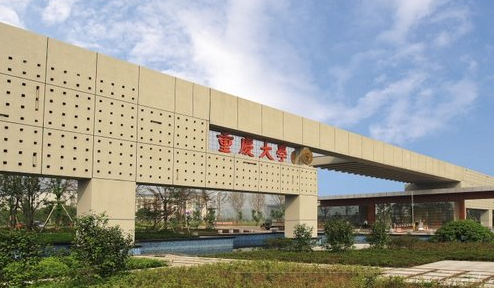 重庆大学自动化学院党委副书记袁利:与青春对话,与学子同行 重庆大学自动化学院党委副书记袁利:与青春对话,与学子同行