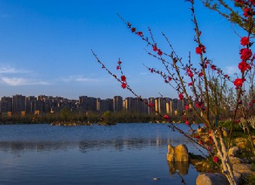 济南2025年是几线城市,最新城市等级划分和排名 济南2025年是几线城市,最新城市等级划分和排名