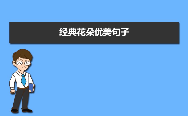 关于描写花的优美的句子50条 关于描写花的优美的句子50条