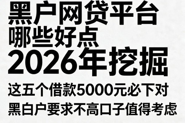 黑白户网贷平台哪些好点2026年挖掘,这五个借款5000元必下对黑白户要求不高的口子值得考虑